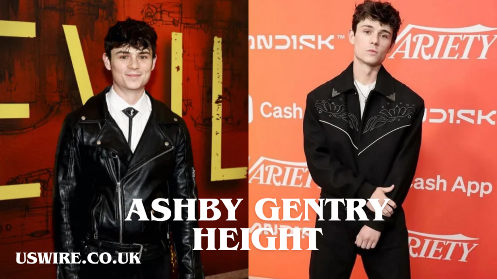 ashby gentry height